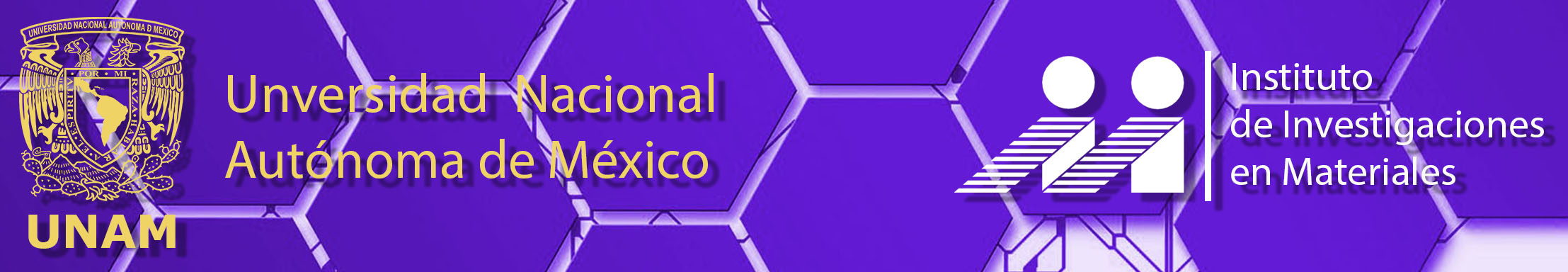 Instituto de Investigaciones en Materiales