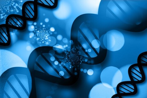 biomateriales